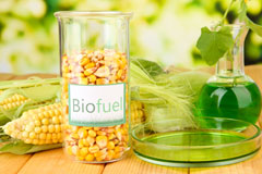 Dre Fach biofuel availability