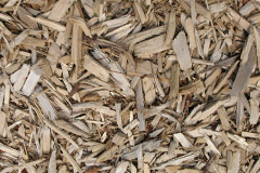 biomass boilers Dre Fach